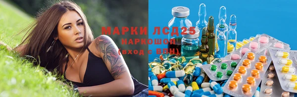 mdpv Волоколамск
