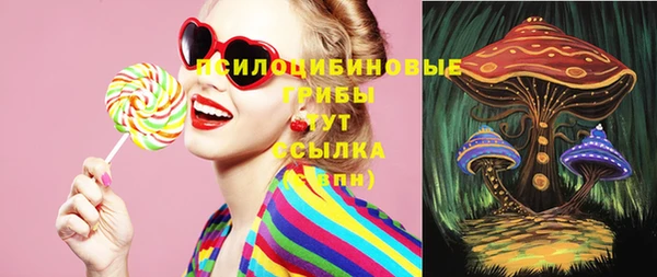 шишки Волосово