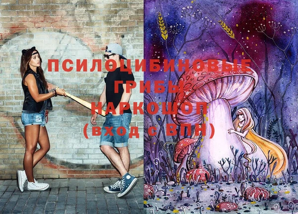 шишки Волосово
