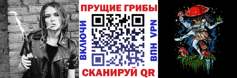 Псилоцибиновые грибы прущие грибы  Артём 